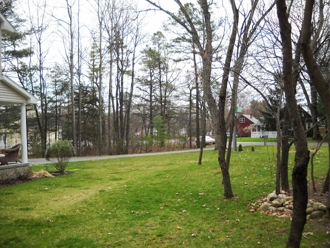 Conaway Run Public Fishing