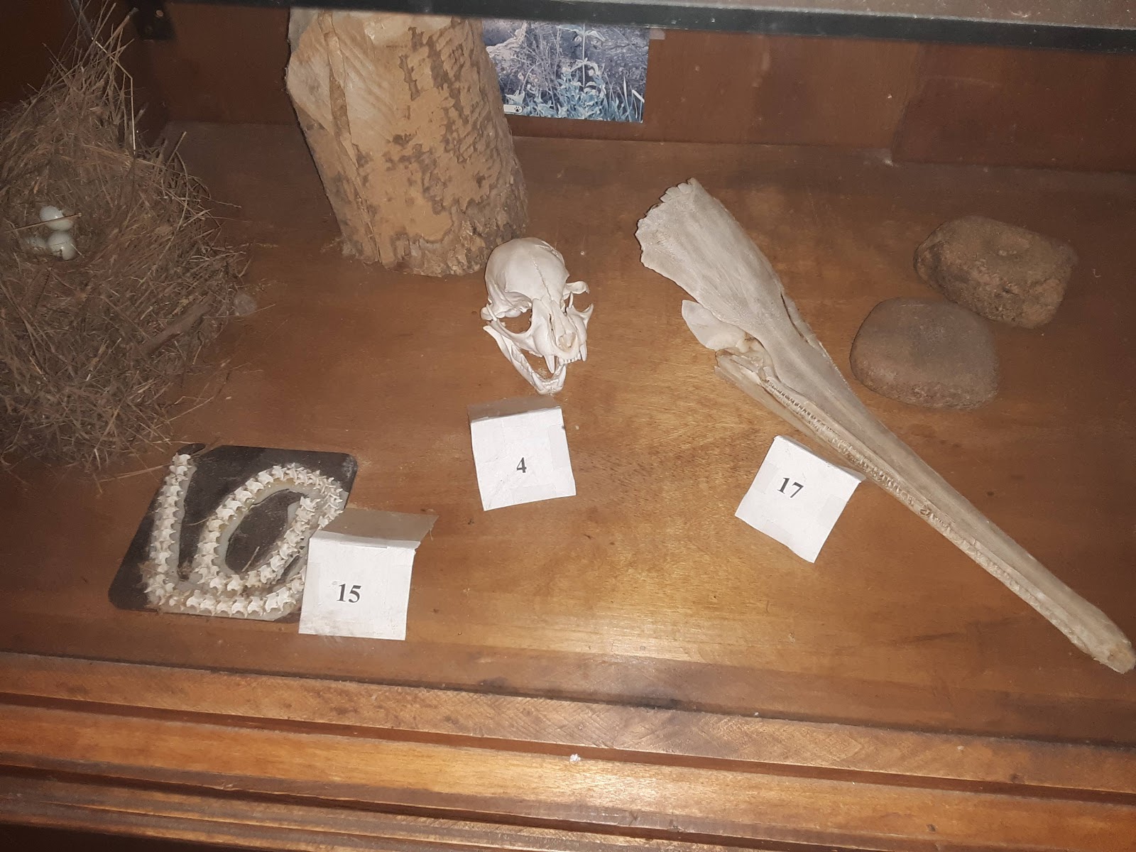 John Kyle State Park