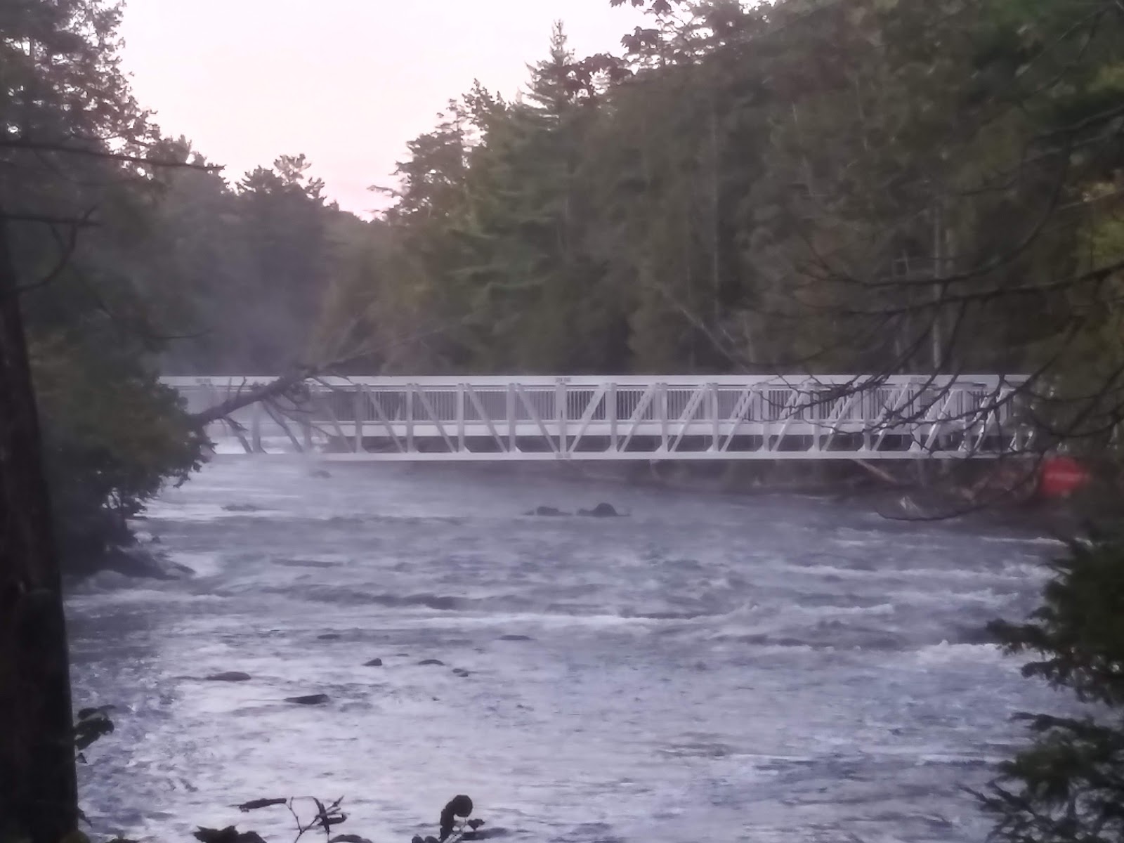 Bodi Lake State Forest