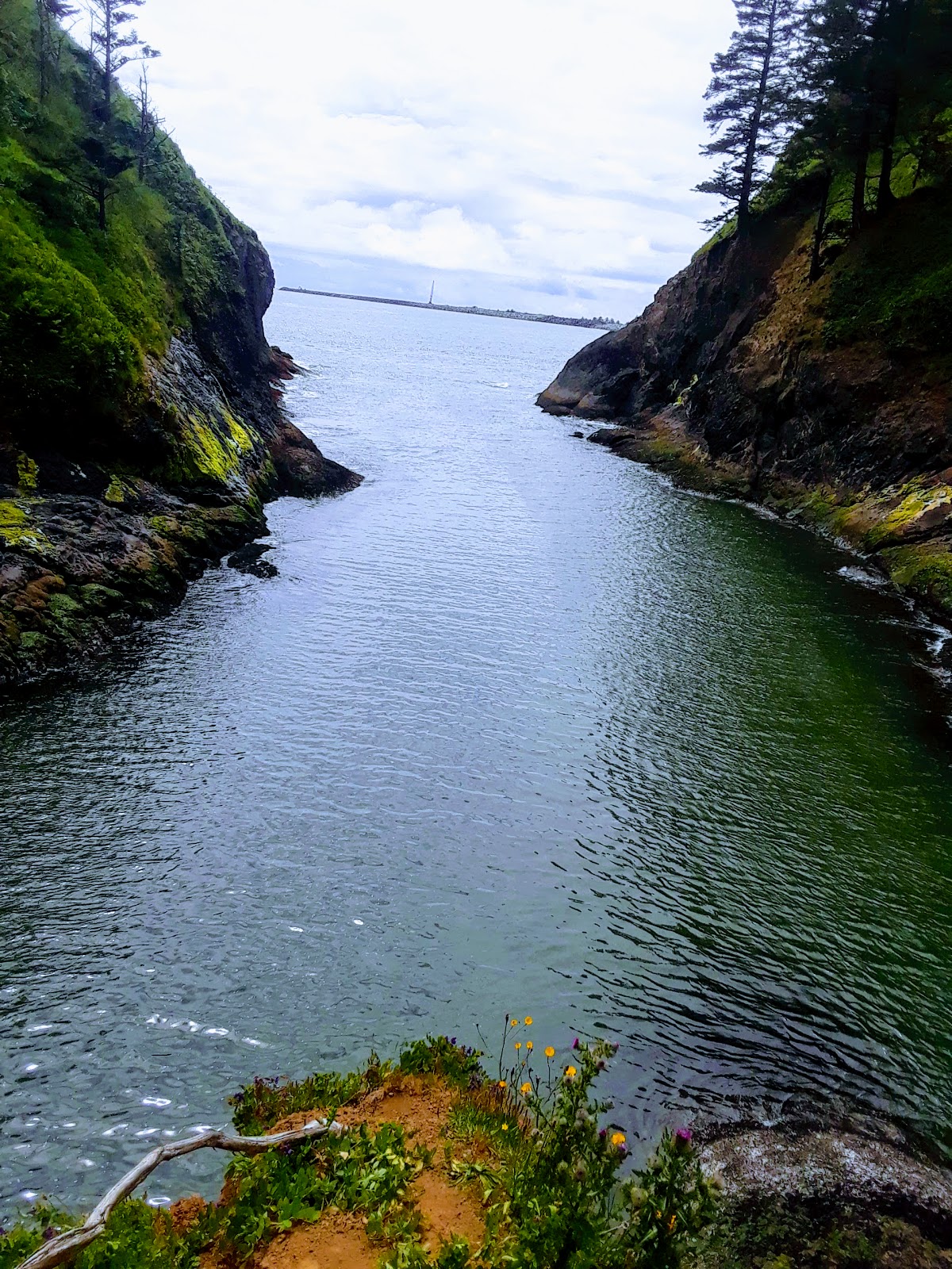 Fishermans Cove RV Park