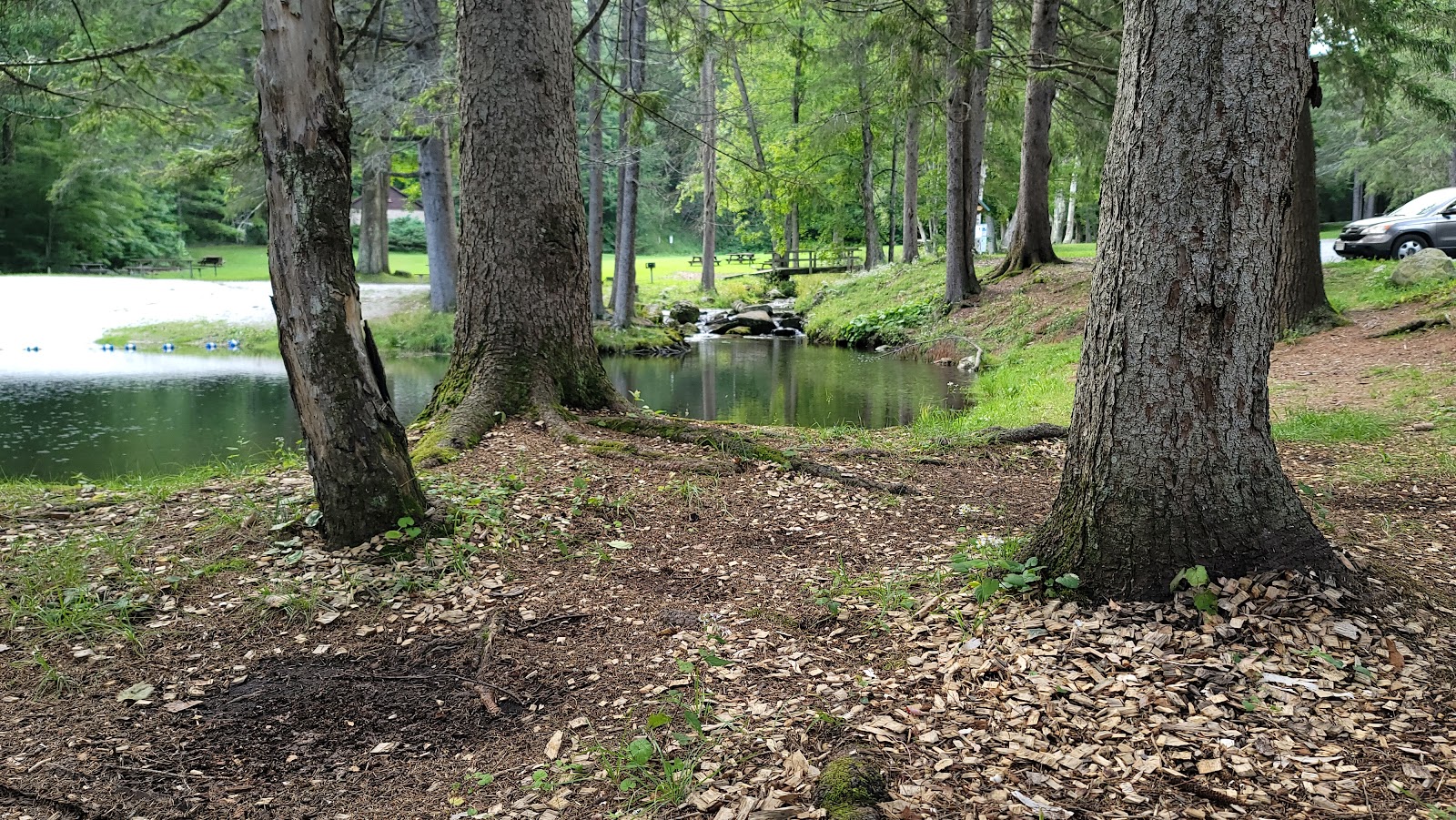 Berry Pond - Pittsfield State Forest