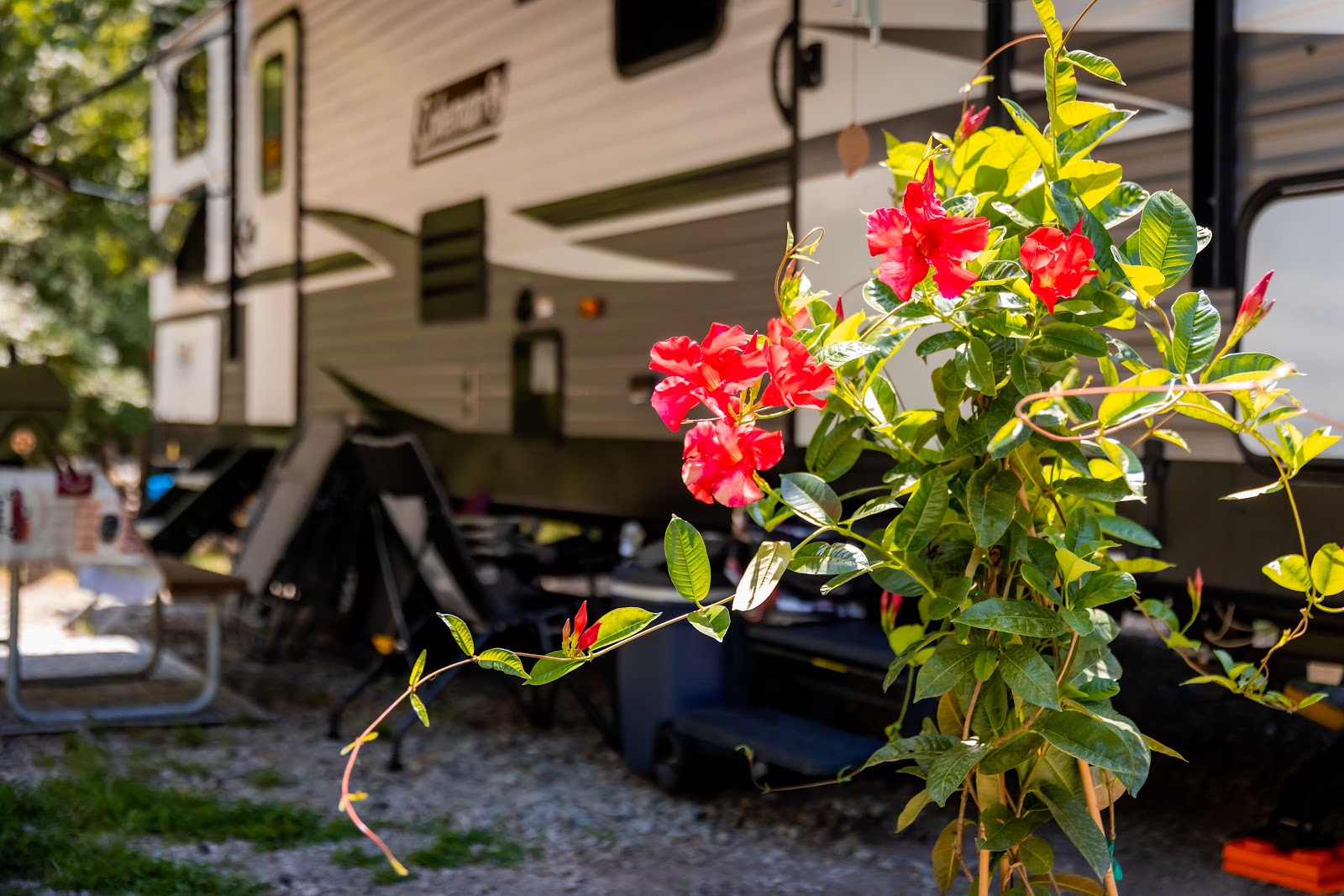 Triangle RV Park