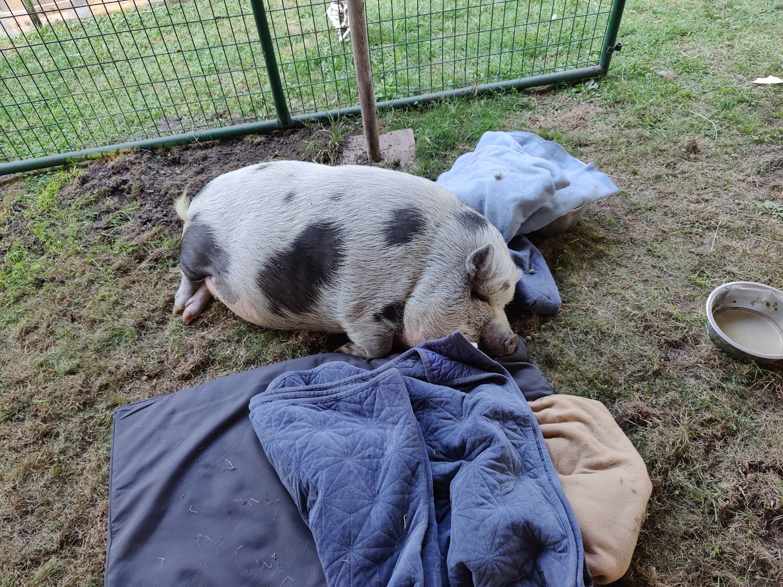 Sandwich Fair Grounds