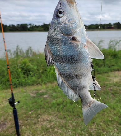 Fort Anahuac County Park