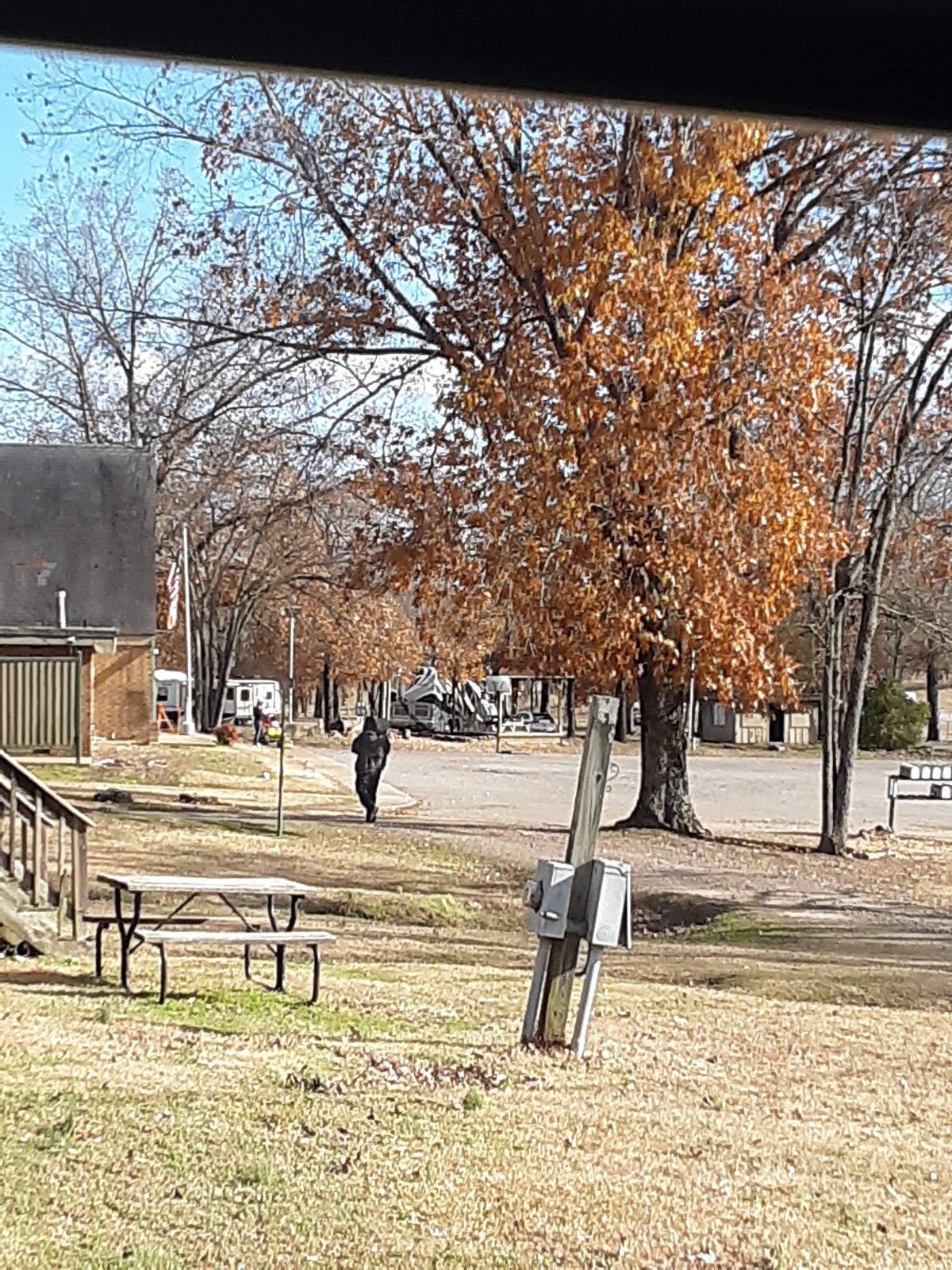 Morrilton/Conway KOA