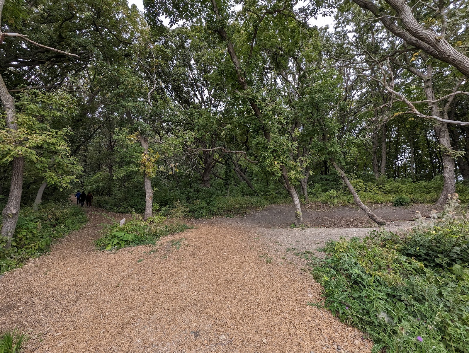 Sica Hollow State Park