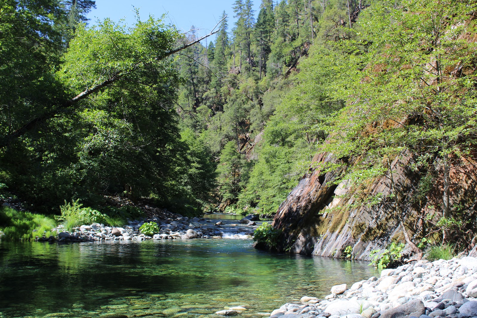 Dillon Creek Campground