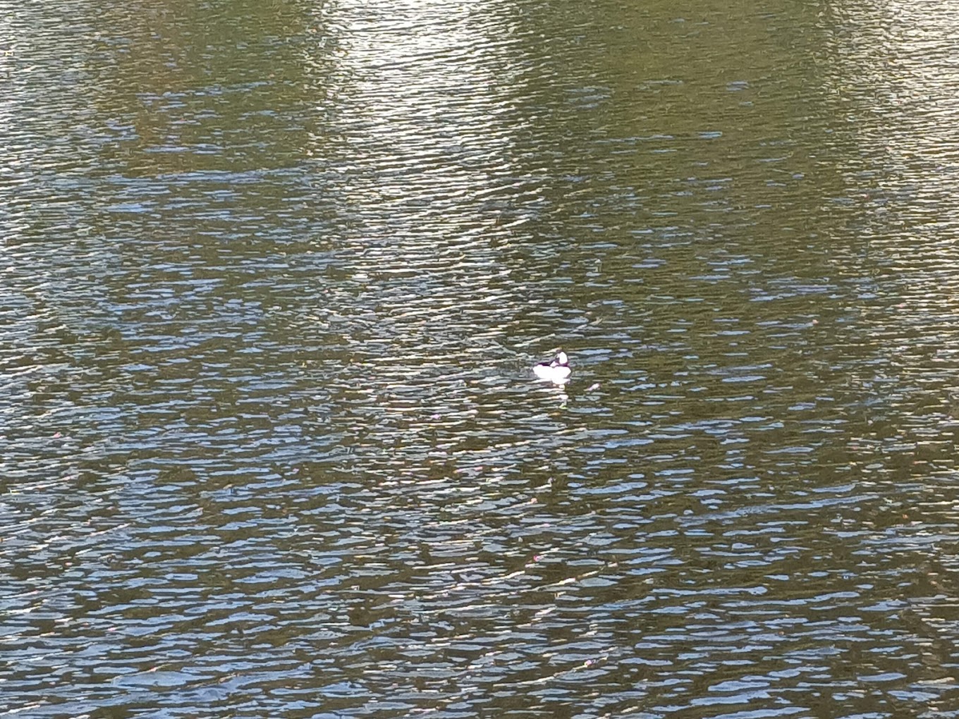 Lake Pleasant RV Park