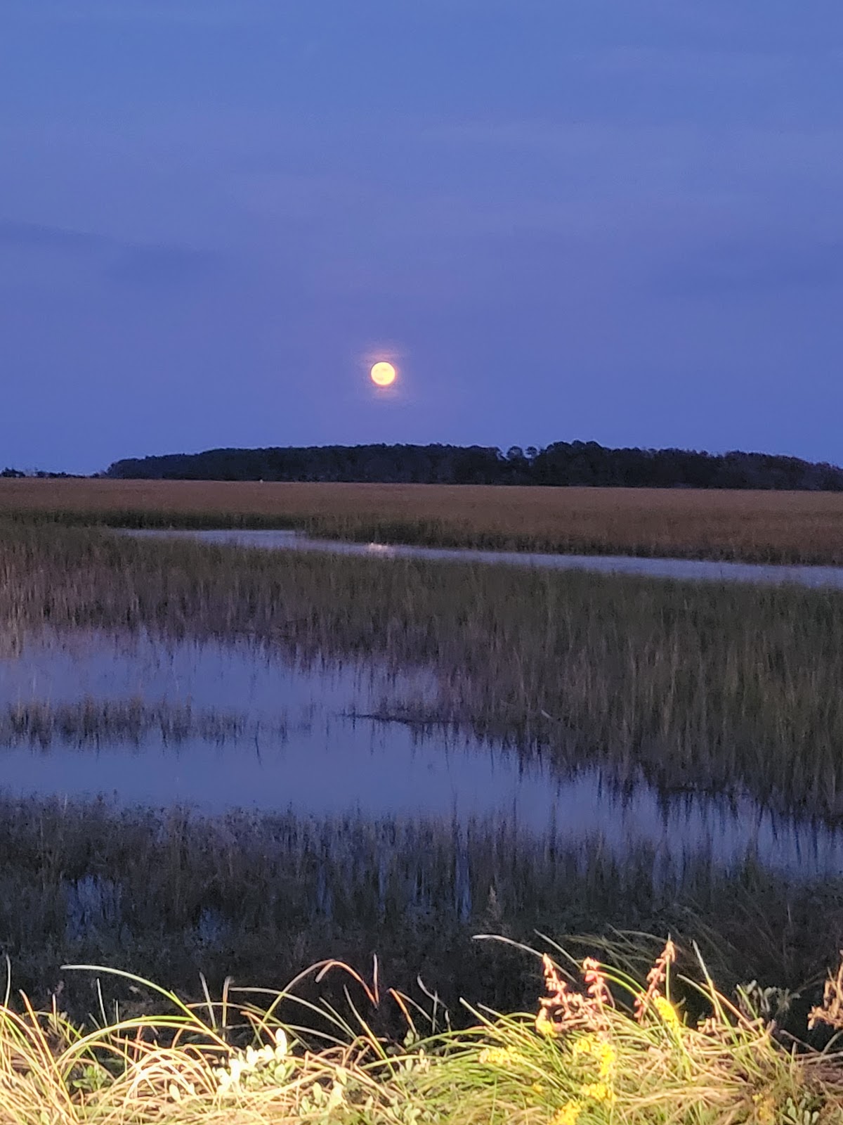 Myrtle Beach RV Resort