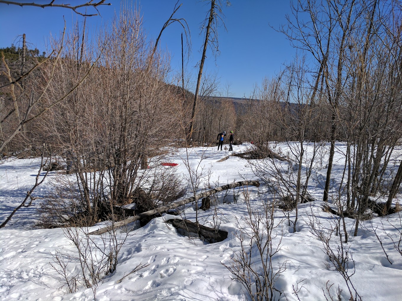 Colcord Ridge Campground
