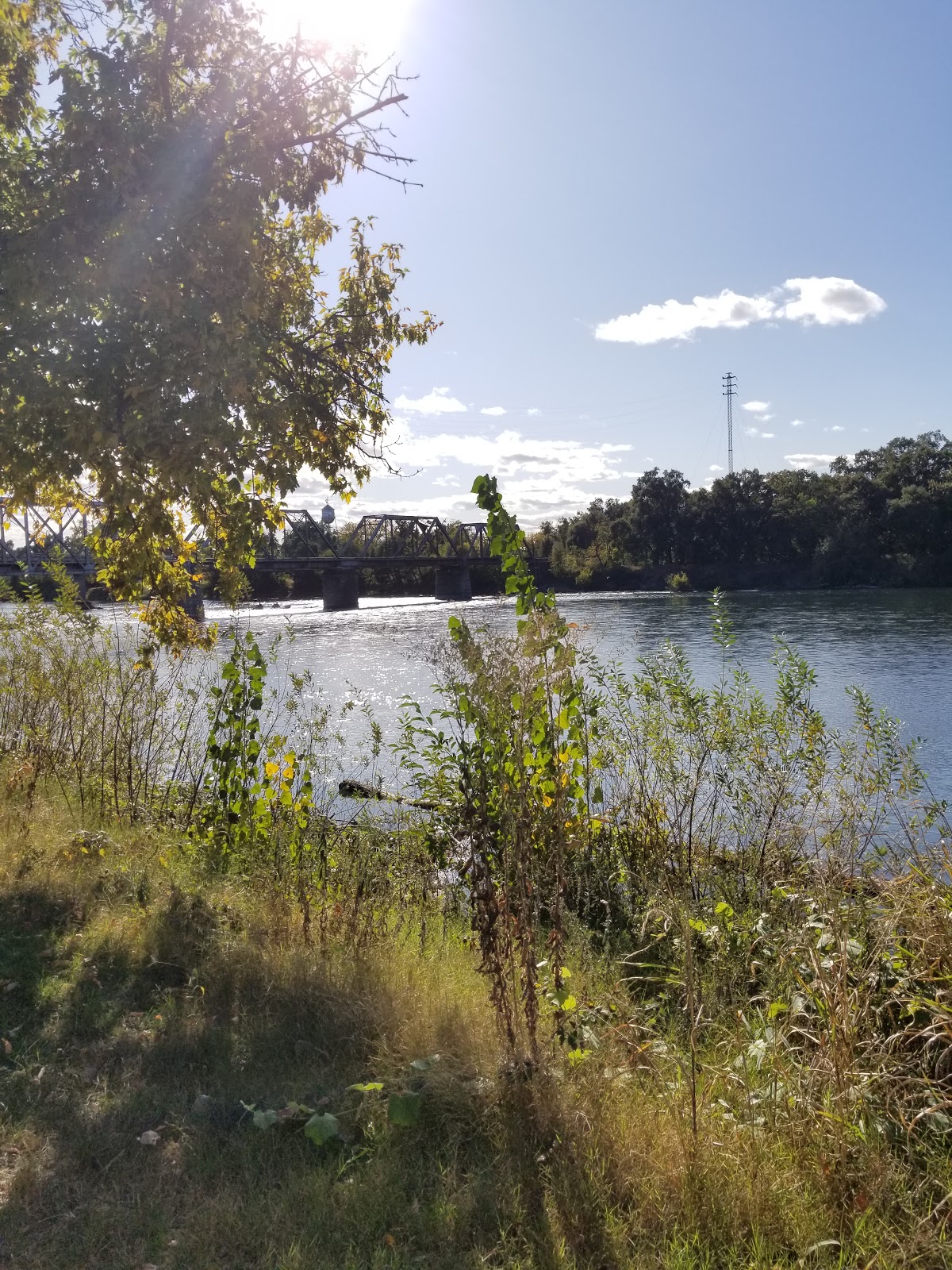 Driftwood RV Park & Fishing Resort