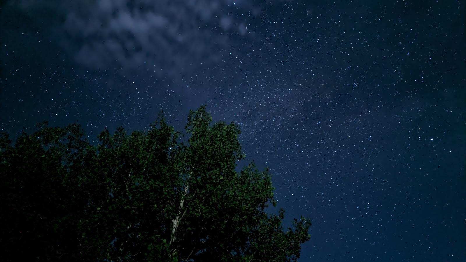 Frying Pan Campground