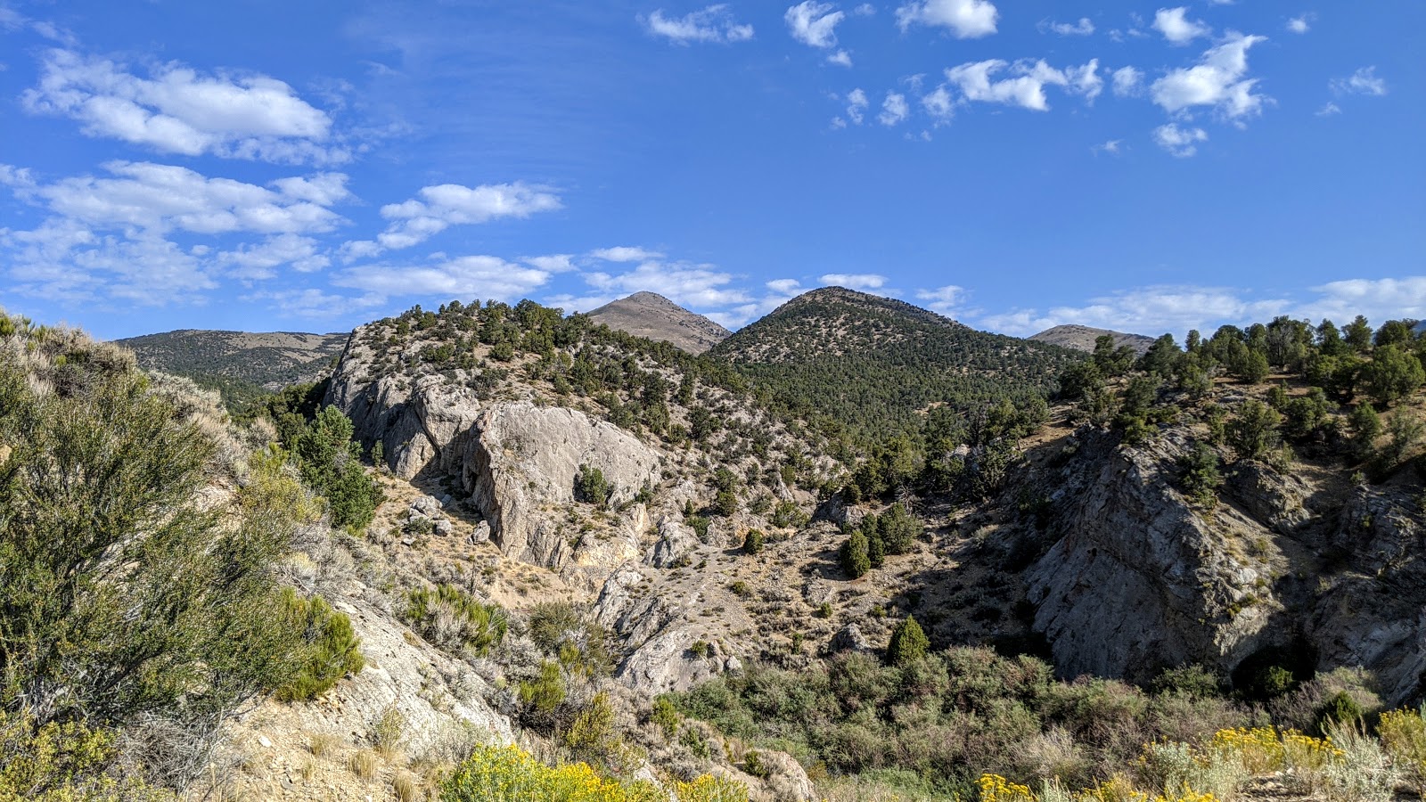 Elk Flat - Cave Lake State Park