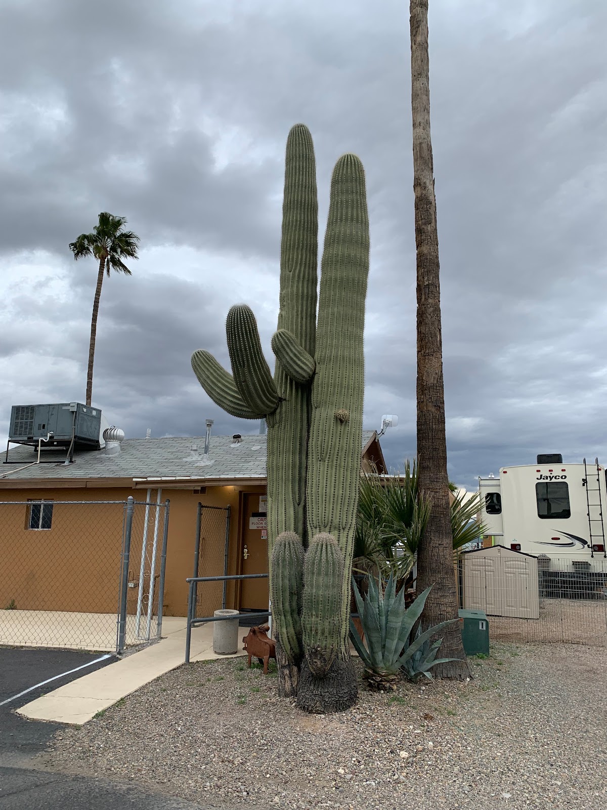 Whispering Palms RV Park