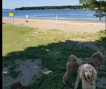 Lithia Springs Camping