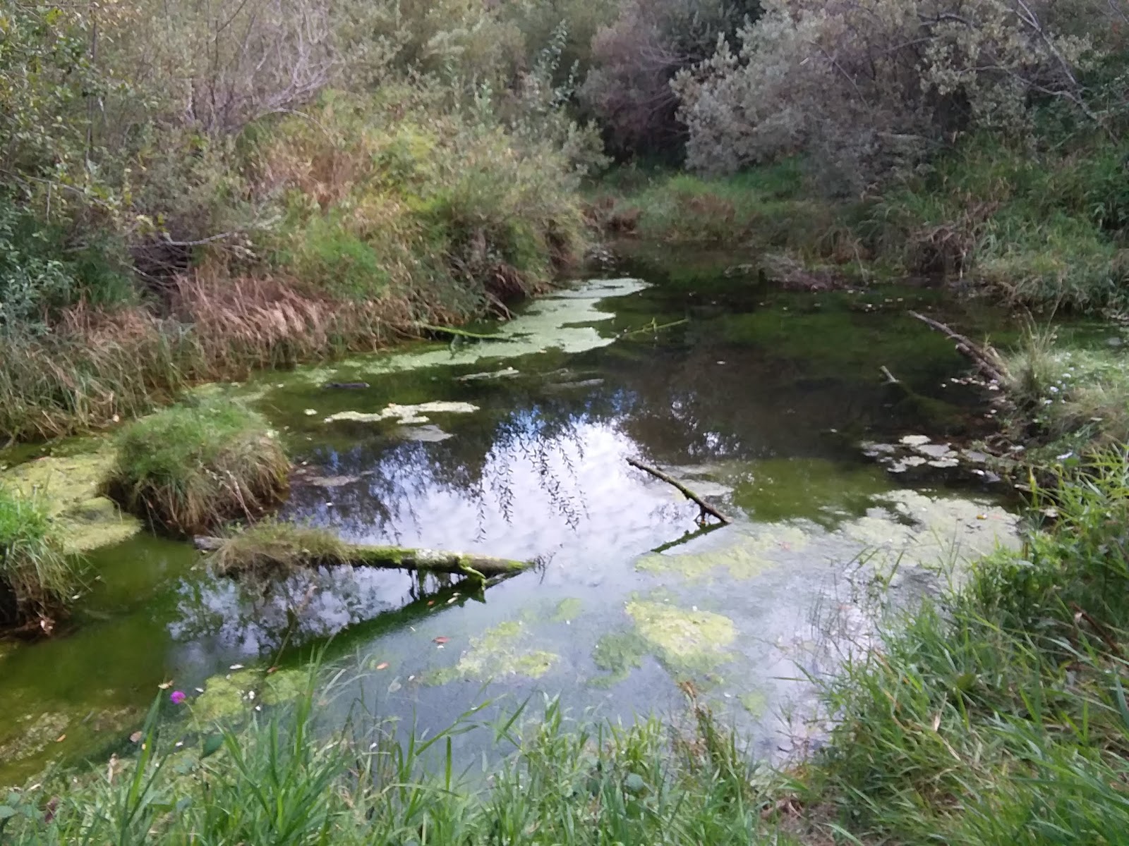 Indian Creek Recreation Park