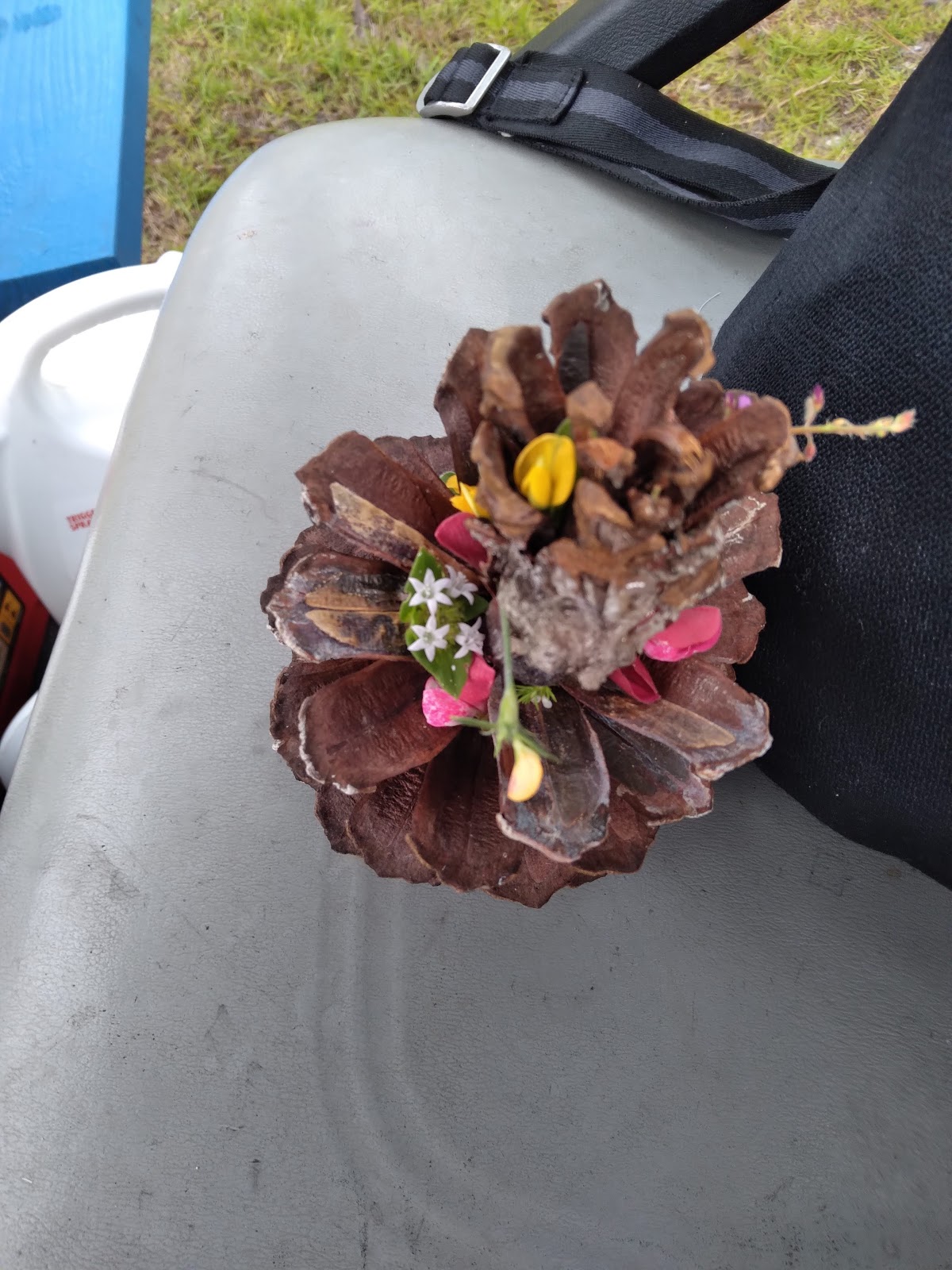 Camel Lake NF Campground