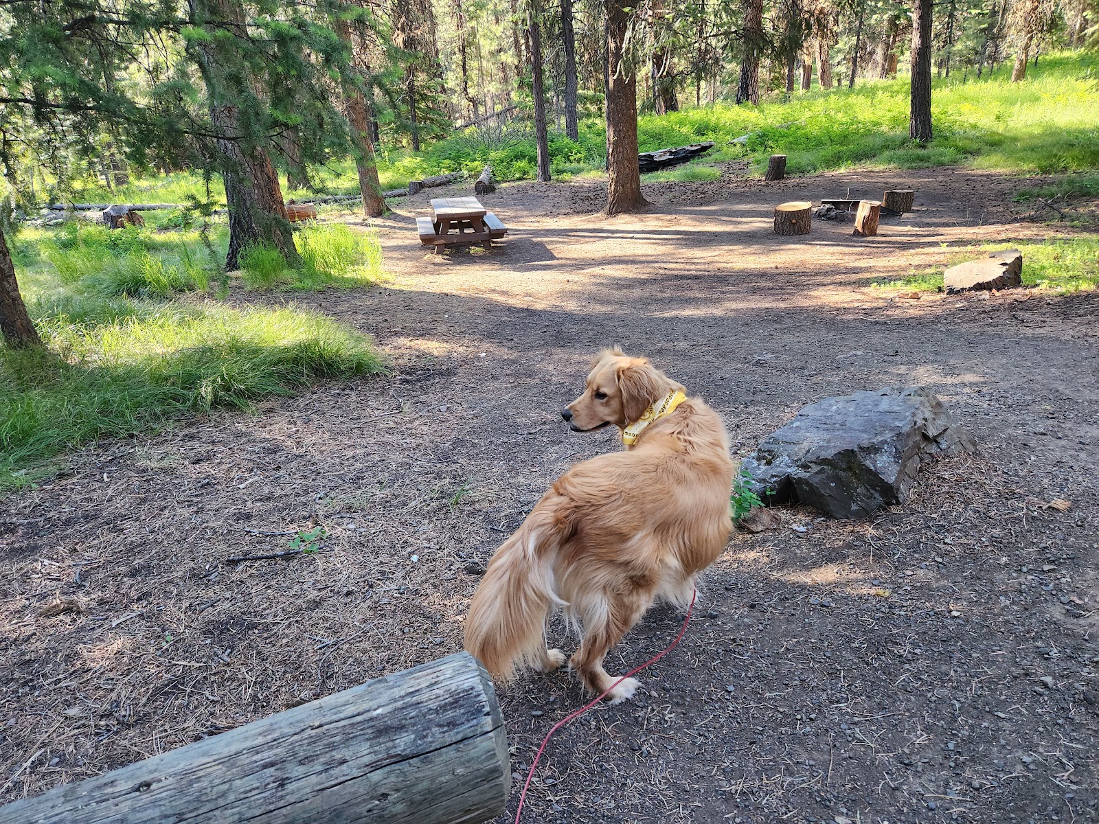 Ochoco Divide Campground