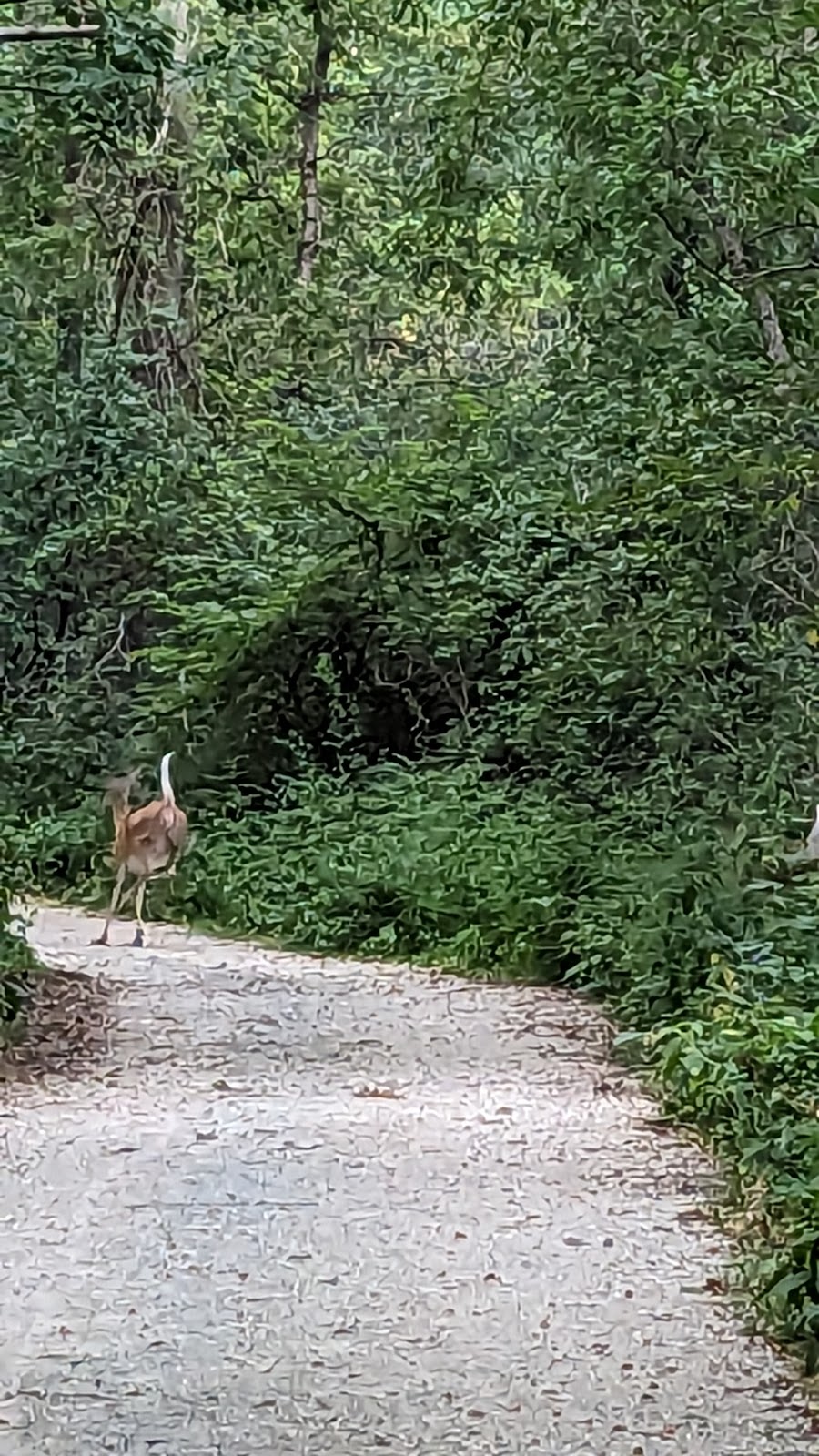 Joe Sheldon County Park