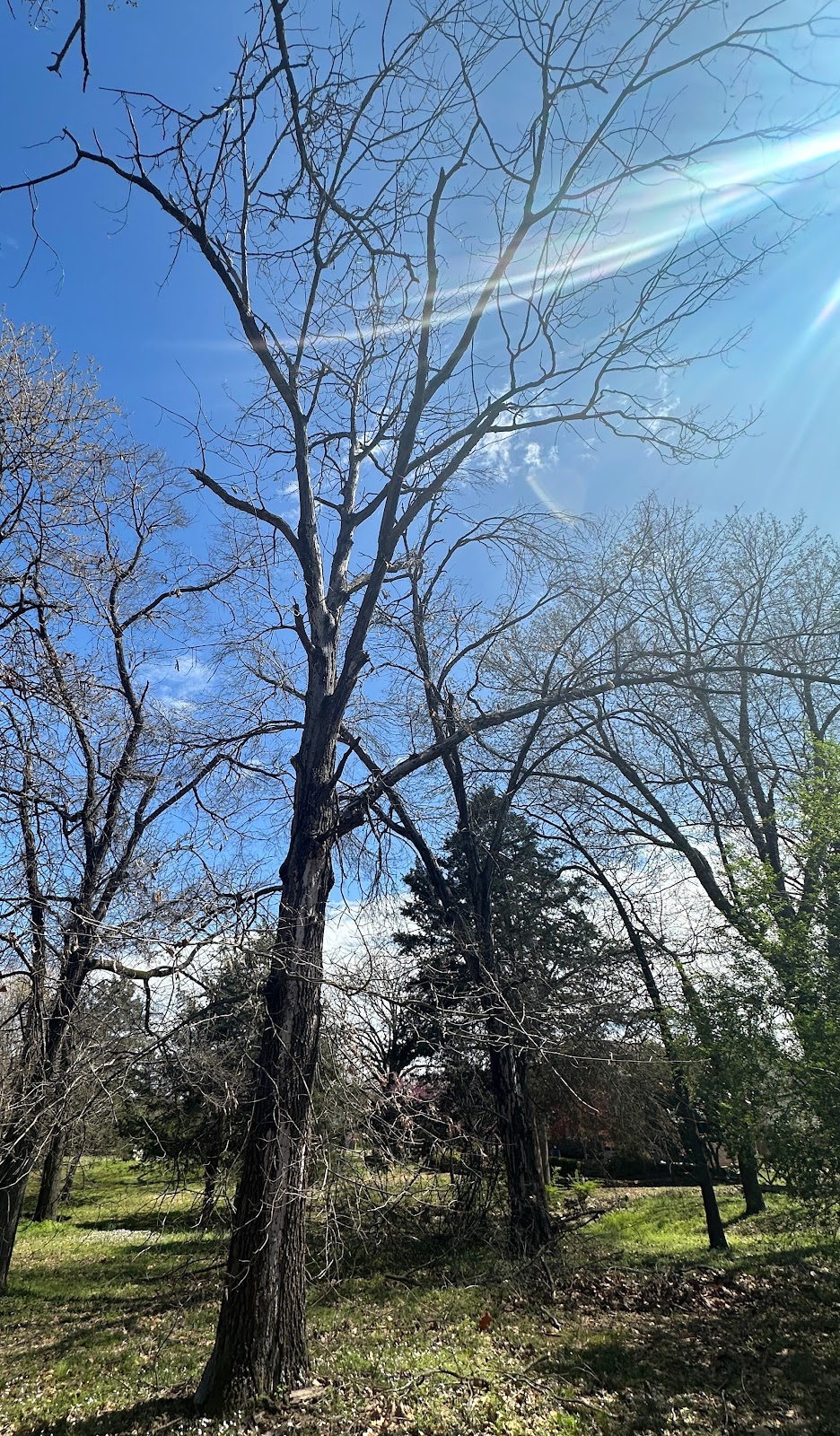 Vache Grasse Country Club