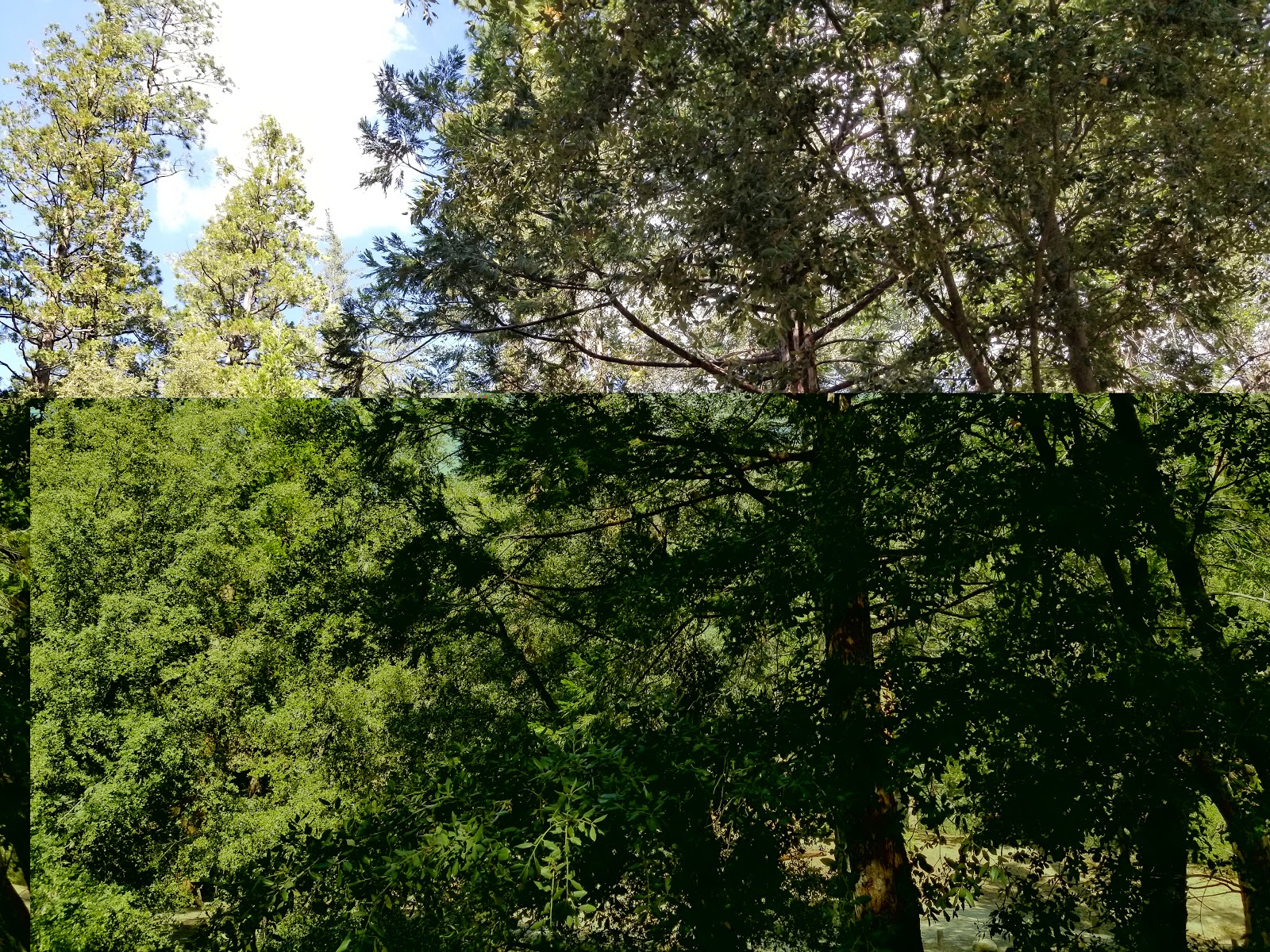 Dark Canyon Campground