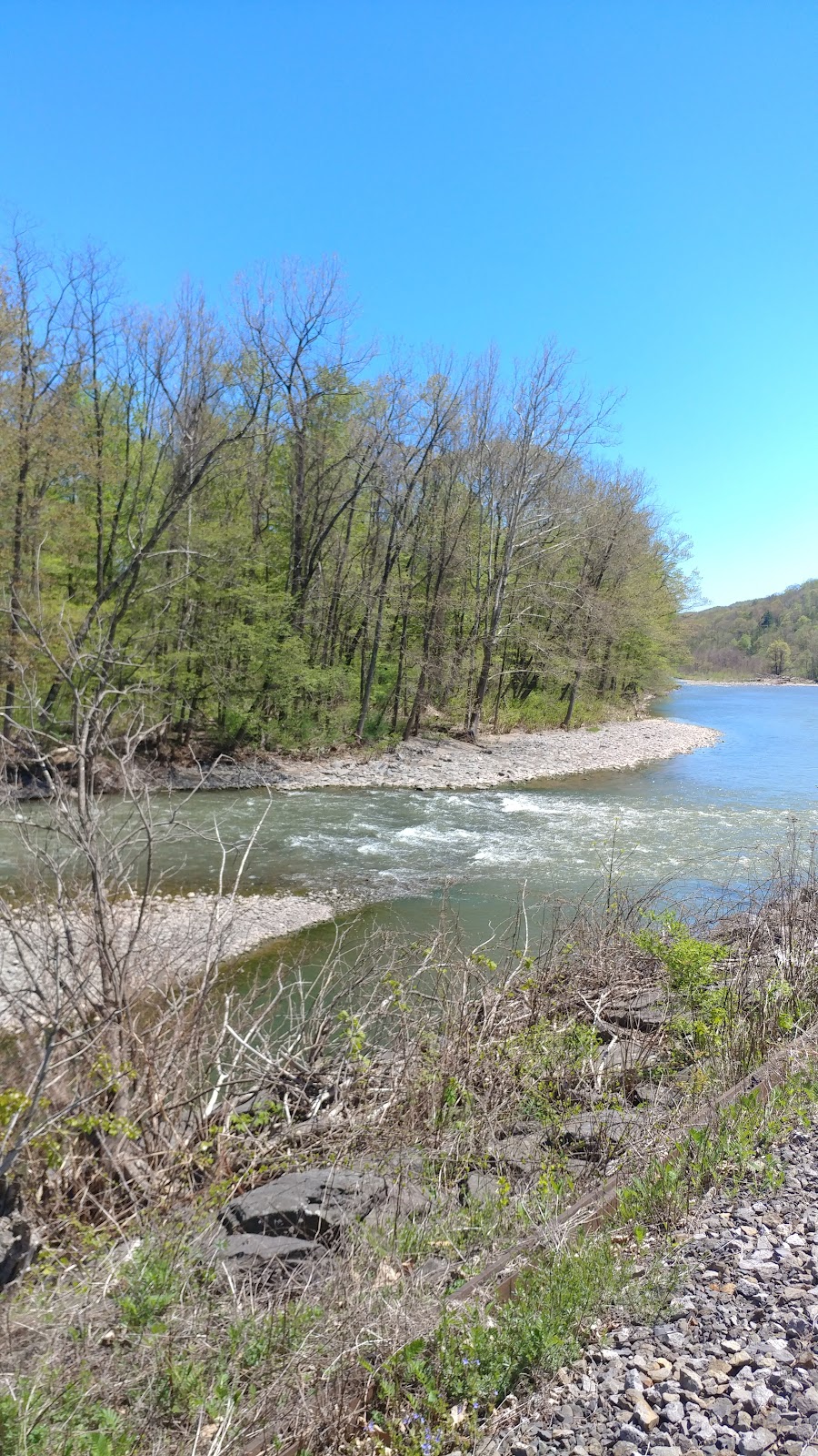 Pine Hollow Campground
