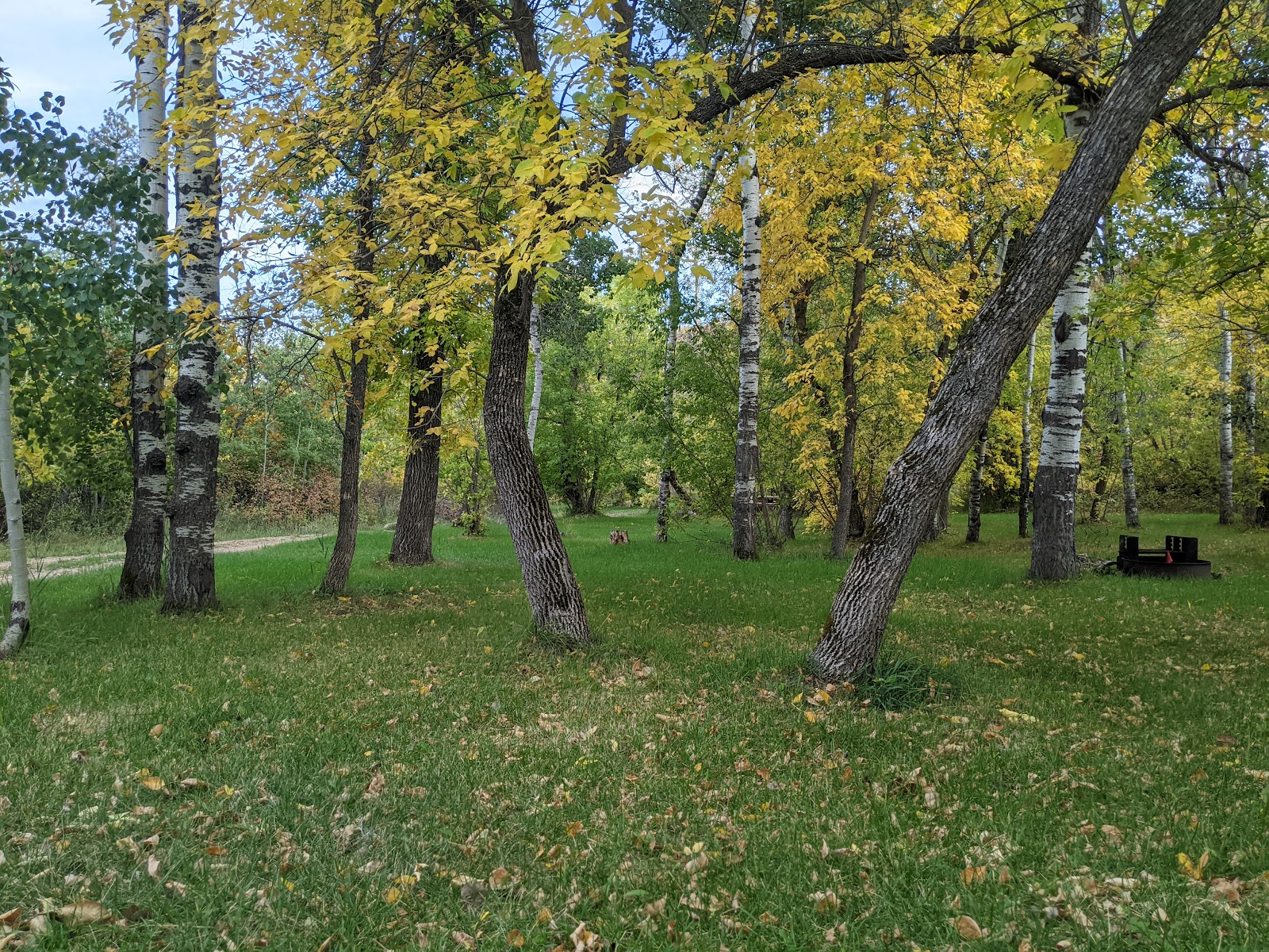 Eklaka Park Campground