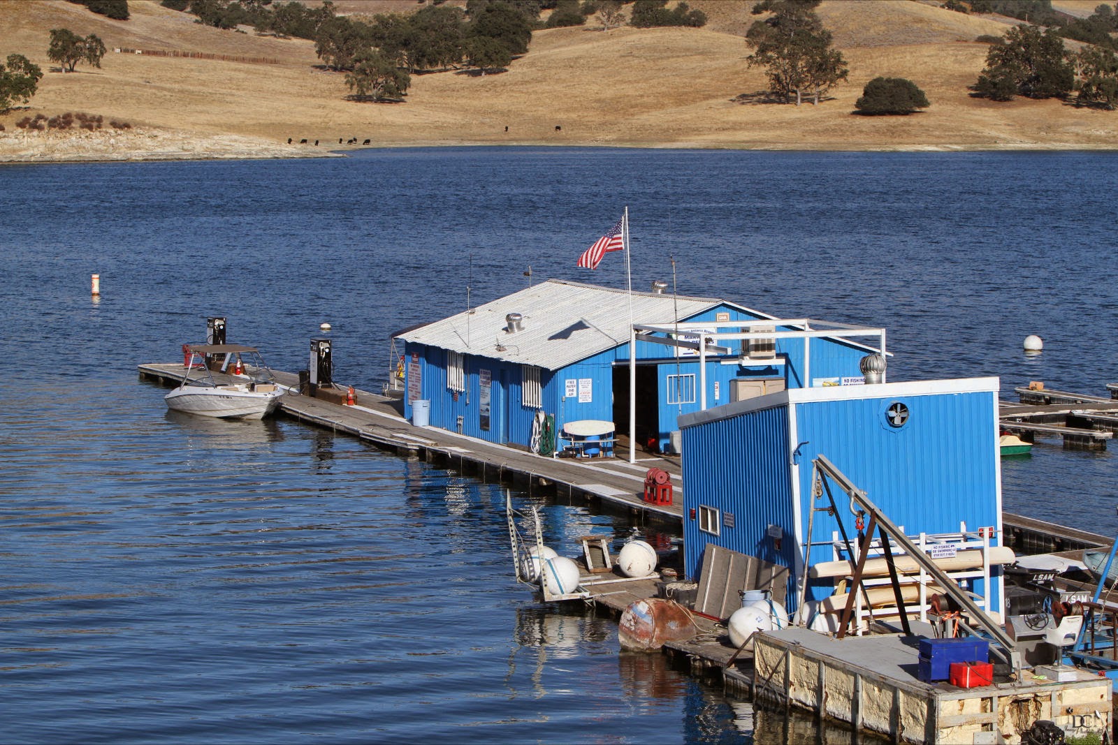 Lake San Antonio South Shore