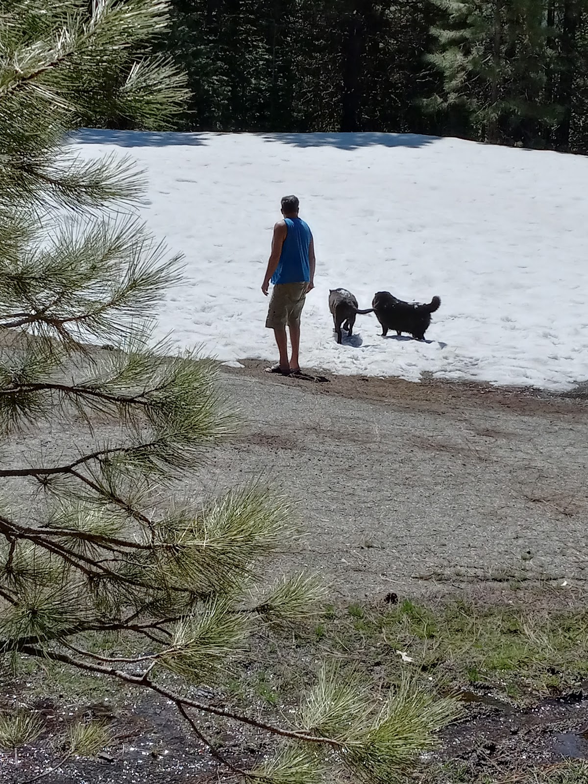 Battle Creek Campground