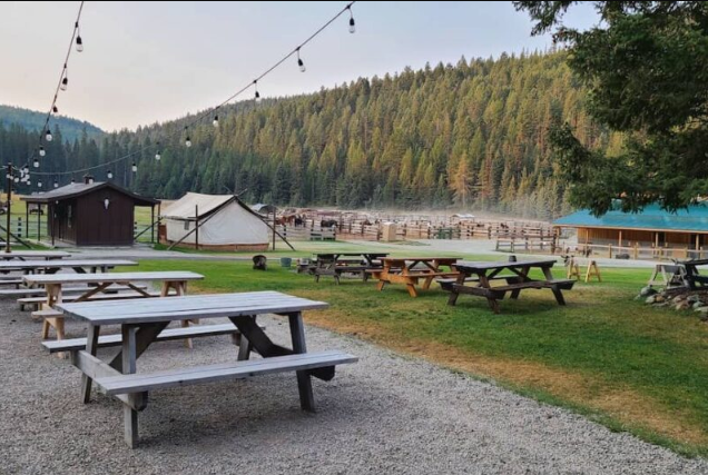 Bar Fifty Guest Ranch