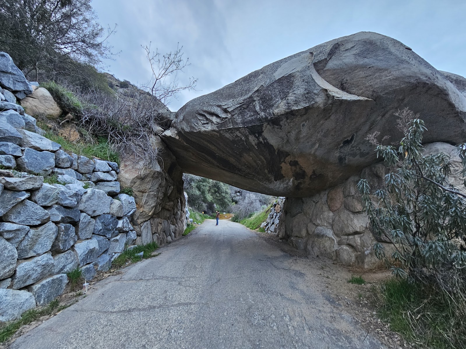 Sequoia and Kings Canyon National Parks