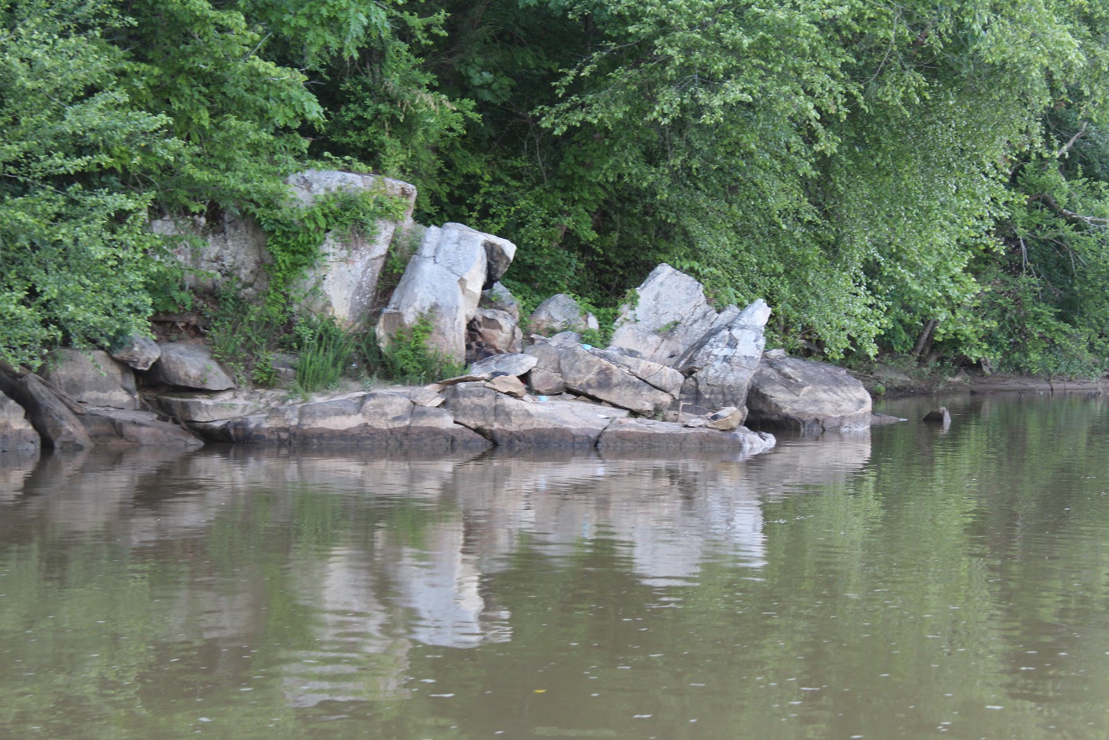 Broad River Campground - J Strom Thurmond Lake