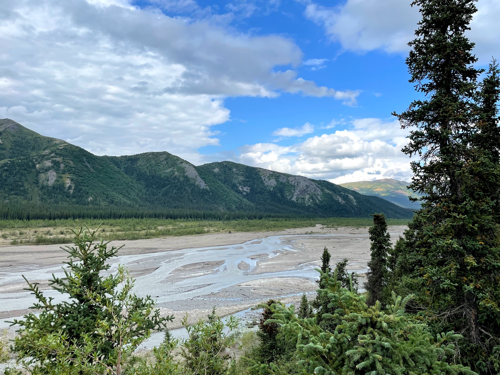 Teklanika River Campground - Denali National Park