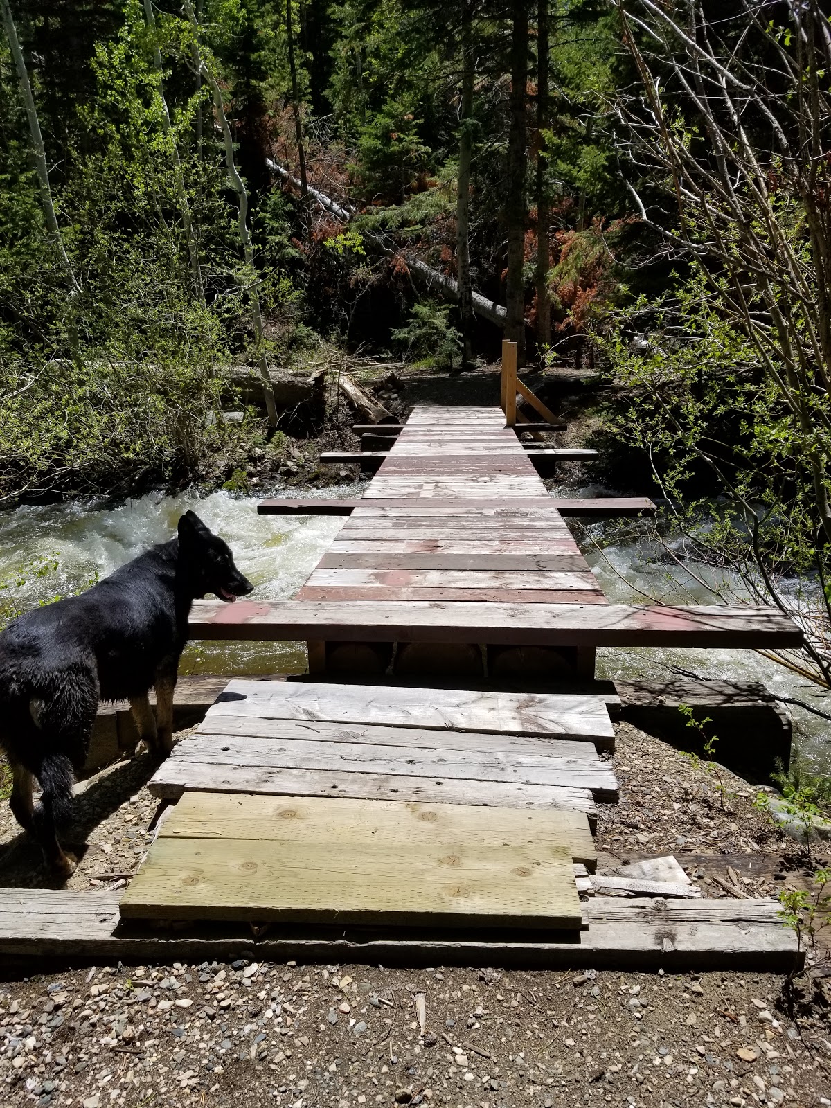 Pine Libby Creek Rec Area
