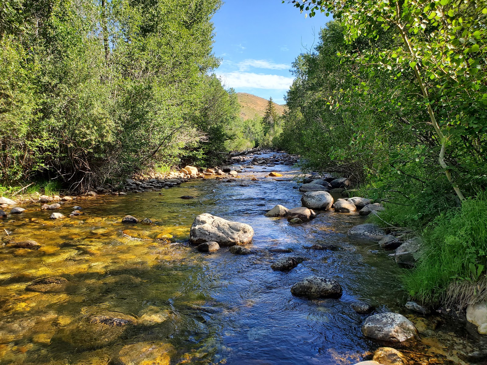 French Creek Campground