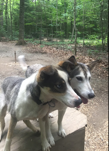 Nahmakanta Campground