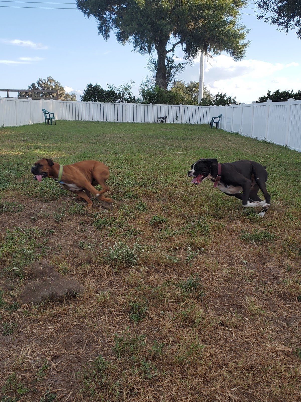 Rail's End MH & RV Park