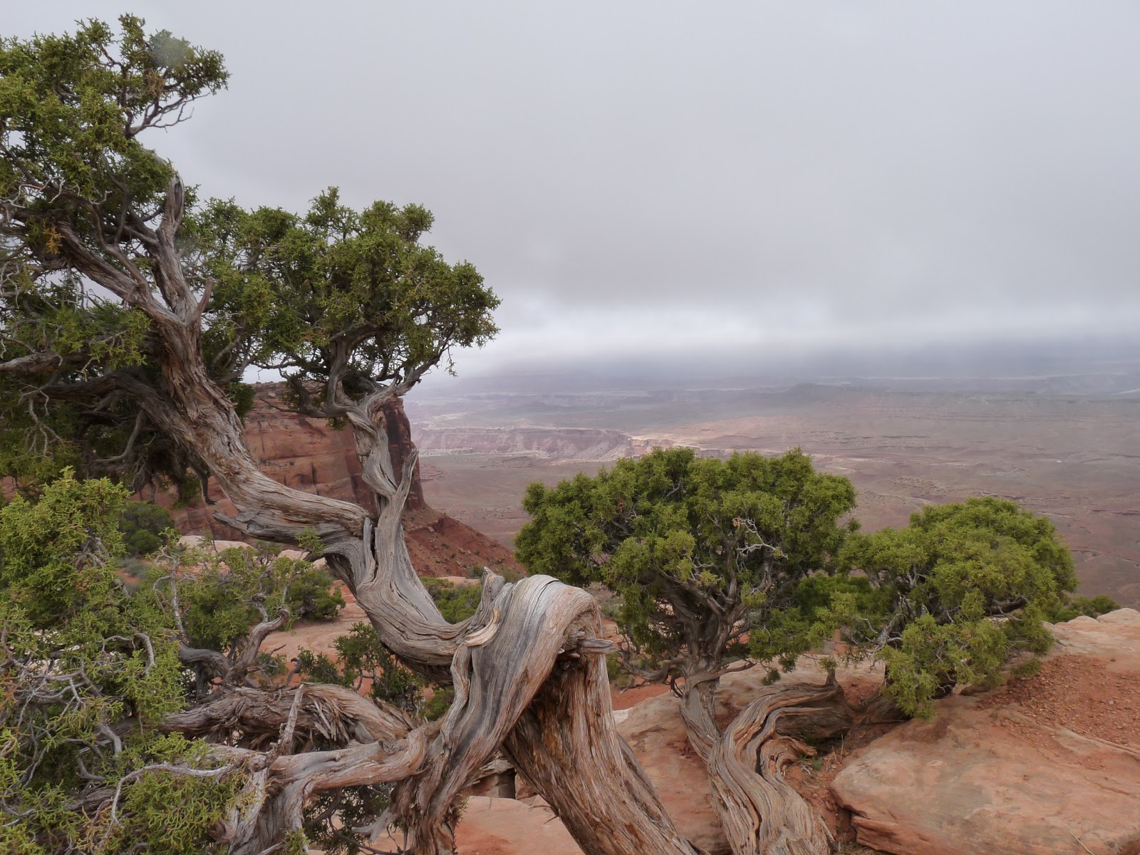 Featherstone RV Park