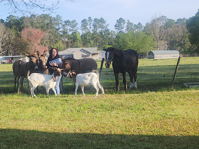 Big Mike’s Ranch and RV Camp