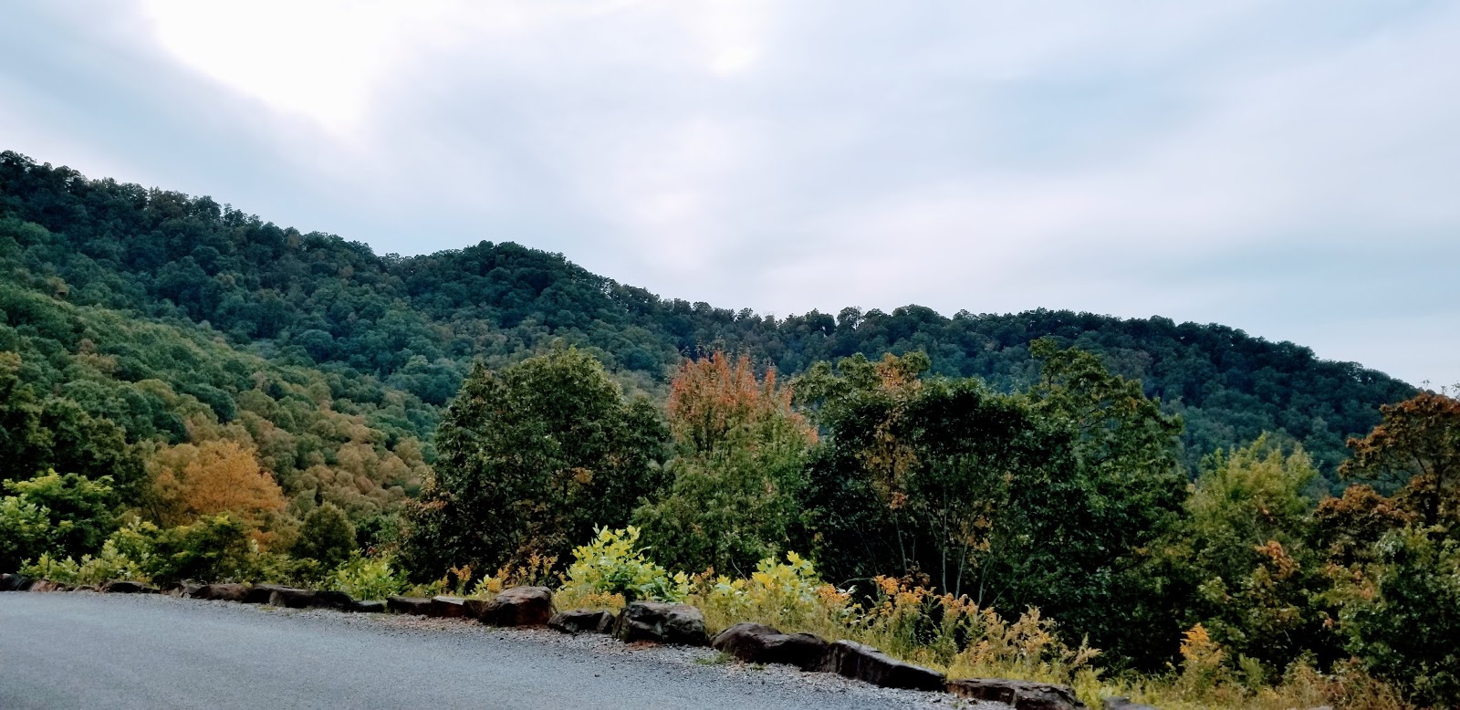 Mama Gertie's Hideaway Campground