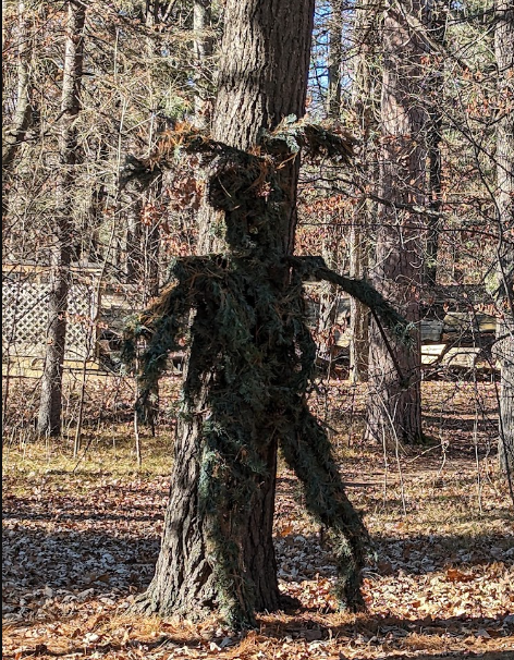 Lake Bemidji State Park