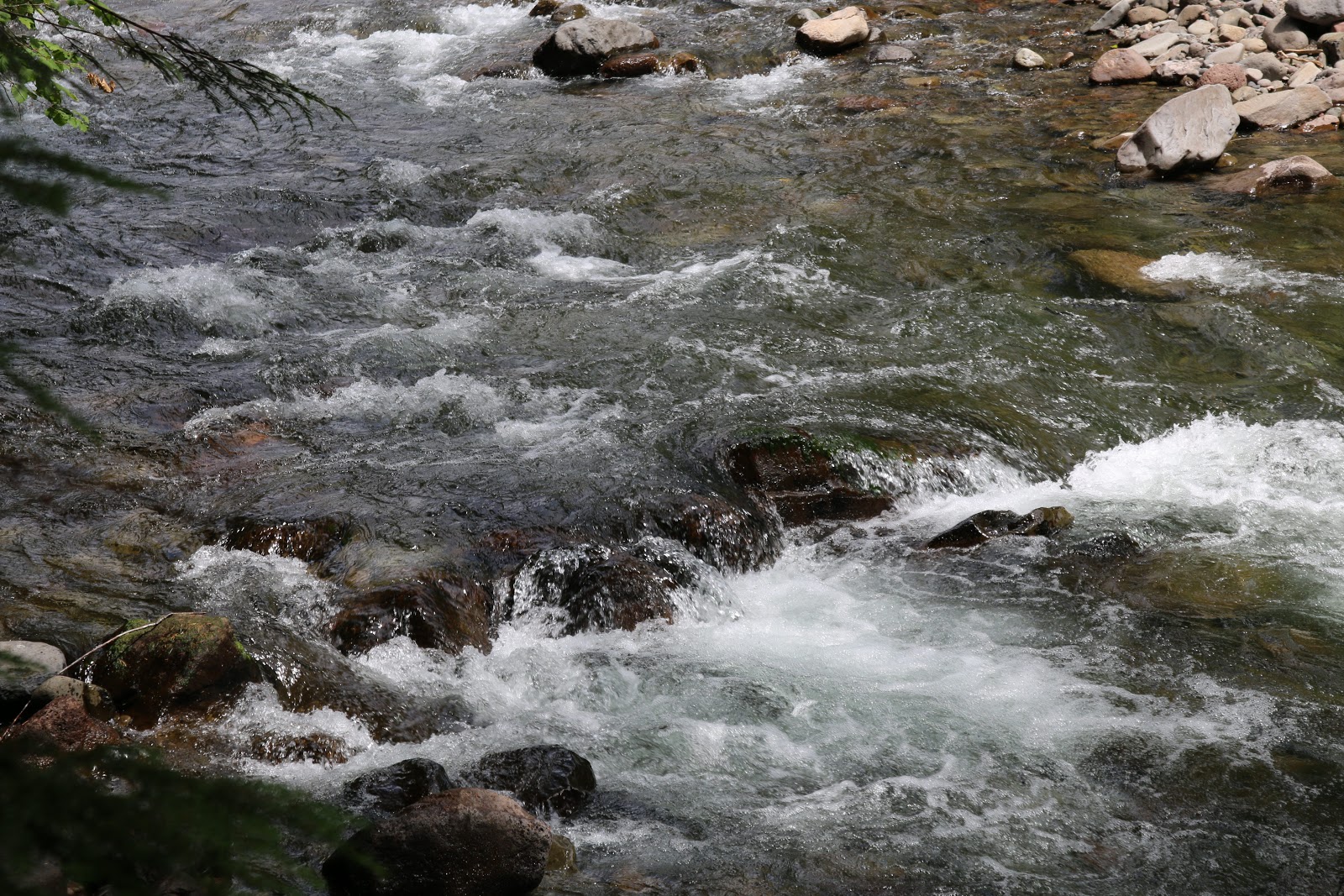 Blue Pool Campground (Middle Fork Ranger District)