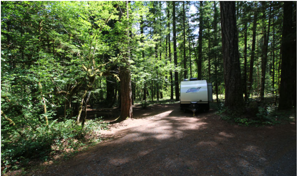 Angler’s Cove and Panther Creek Campgrounds