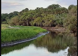 Myakka River – KOA