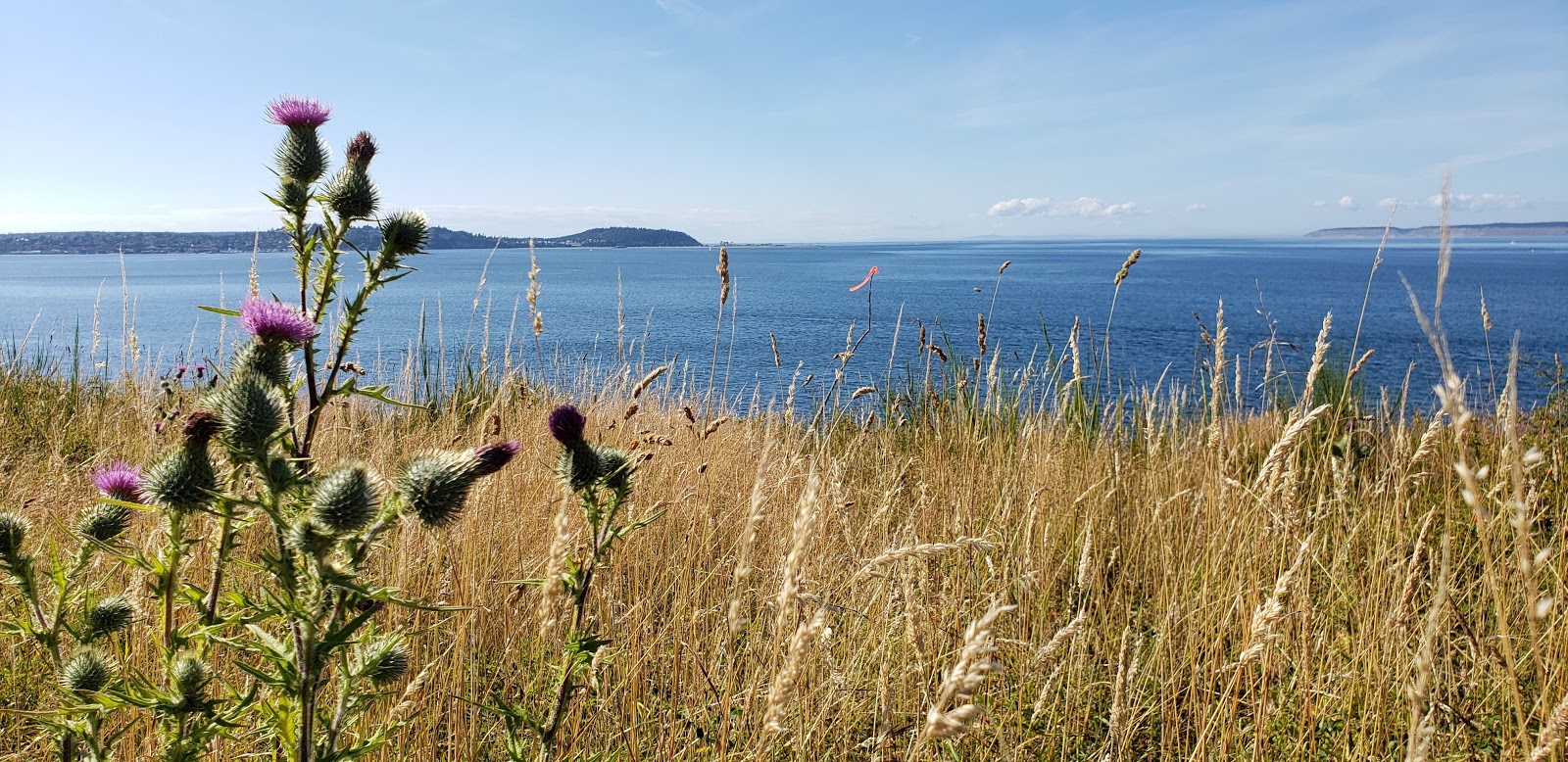 Smitty's Island Retreat