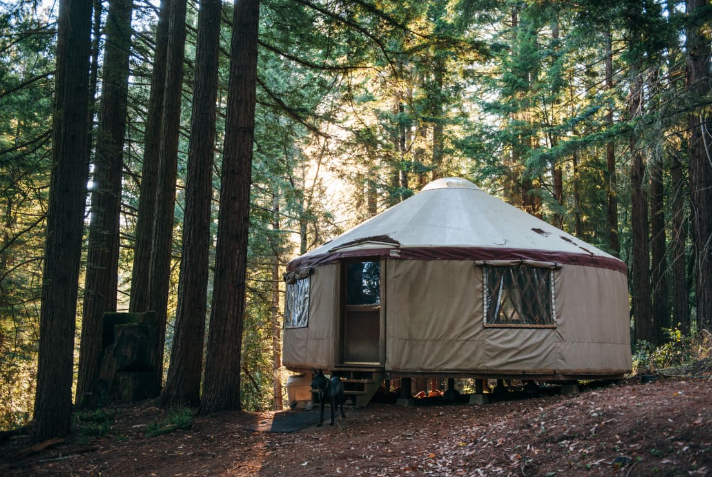 Harvey's Lake Cabins