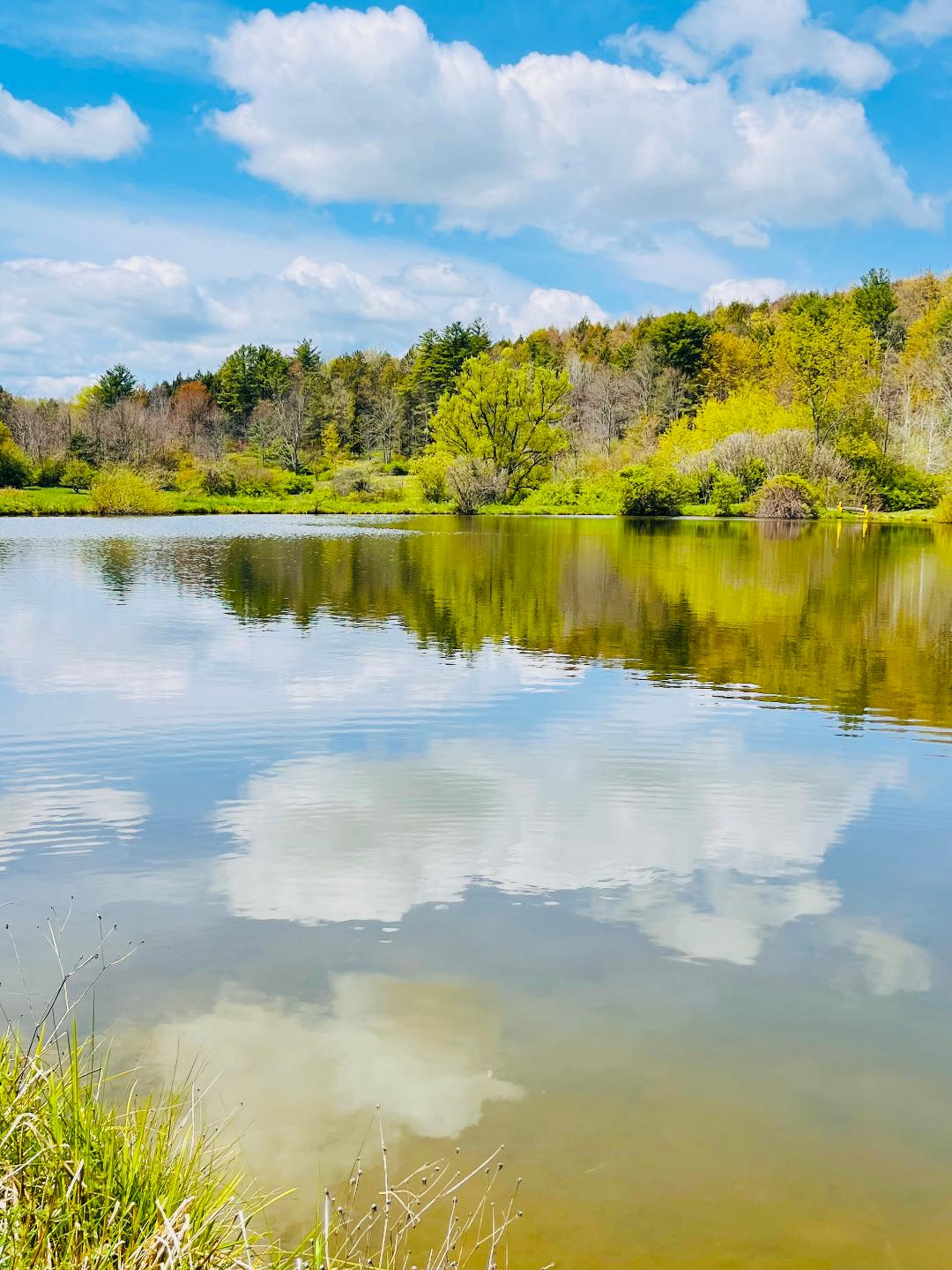 Sunflower Acres Family Campground