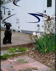 Smith's Landing & RV Park