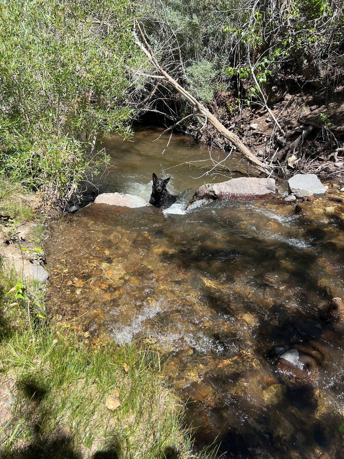 Desert Creek Campground
