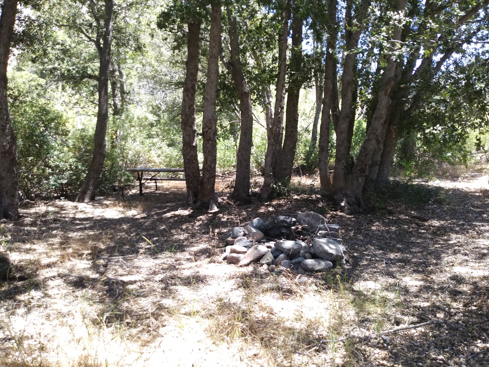 Cabin Flat Campground